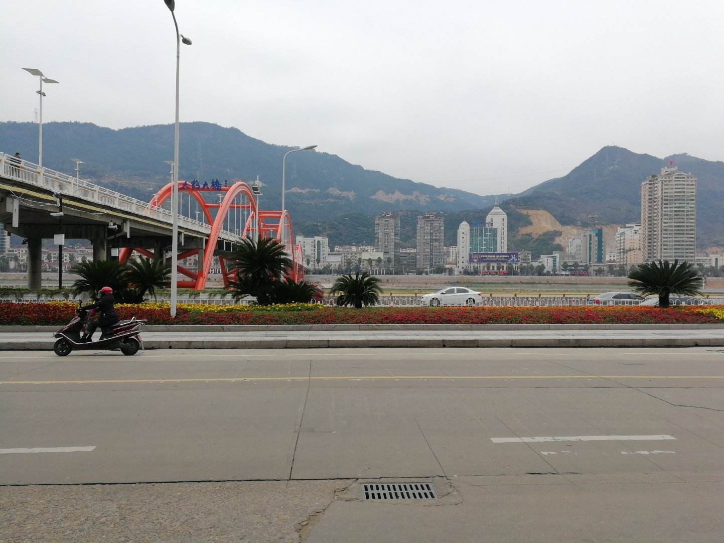 麗水臨江特大橋